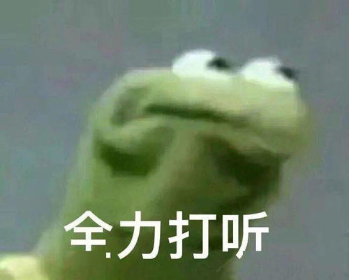  张雨绮傻白甜人设翻车现场,这下没得洗了吧
