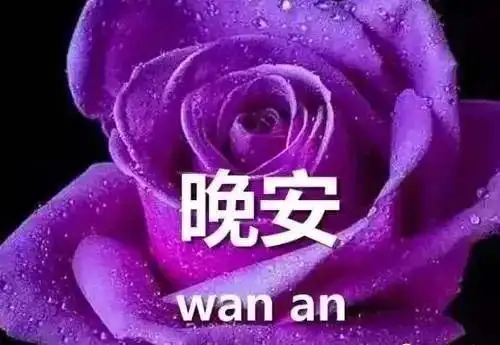  6月温暖的鲜花晚安心语句子温馨暖心漂亮花朵祝福语唯美动态表情包