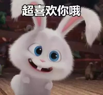 个性男女生兔子头像闺蜜头像