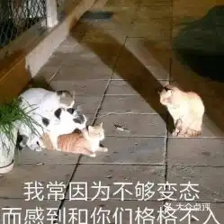  电话,地址,价格,营业时间图平阳运动健身