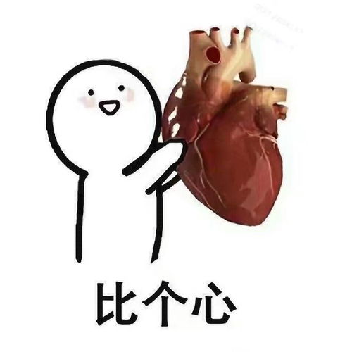  食物