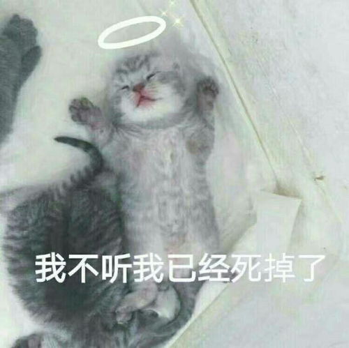  校园里你遇到过什么难堪的事