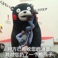  熊本熊表情包对方已拒收您的消息,并对您投去嫌弃的目光
