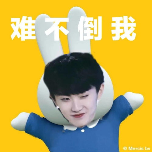  tnt时代少年团米菲兔系列表情包