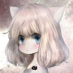  12星座综合实力排行榜谁第一