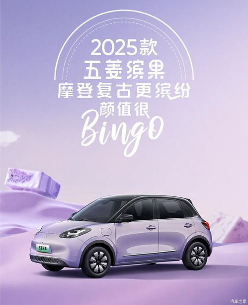  2025款五菱缤果官图发布,宏光miniev四门版完成超36000台订单
