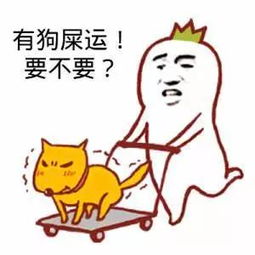  手绘远离狗屎运做文明铲屎官