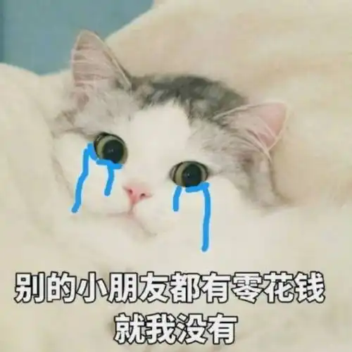  高考前是国宝大熊猫,考后我变成了流浪猫