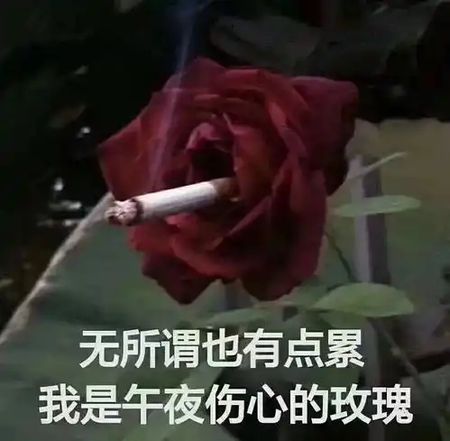  我喜欢的明星过于单纯