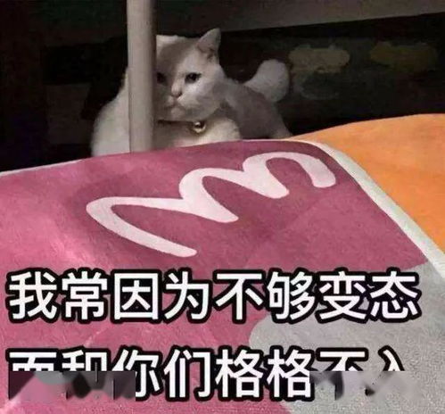  国潮之光行走的荷尔蒙让人欲罢不能的男友香这瓶集沐浴洗发洁面于一身的番枧水