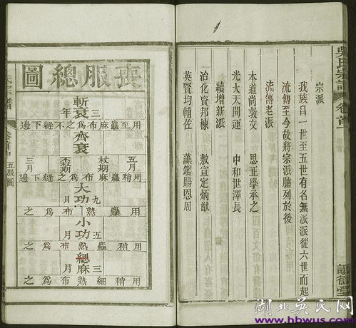  宣统二年新洲让德堂吴氏宗谱