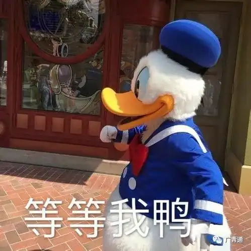  青姿采欢迎来到色彩斑斓的广青