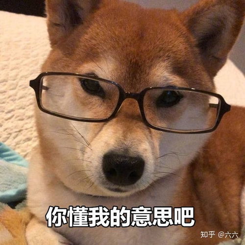  总感觉自己配不上别人