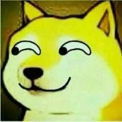 fine表情包单身汪