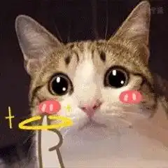  石魂毓灵崇宇集英来呀来打call啊