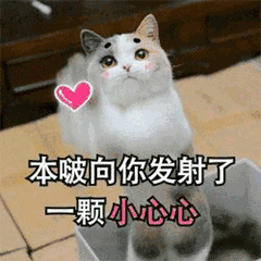  满屏幕爱心表情包一跟你说话,我就满屏幕爱心