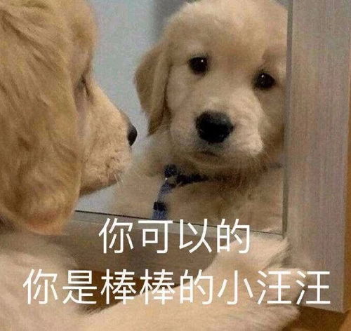 成人痘是什么鬼它与青春痘有什么区别