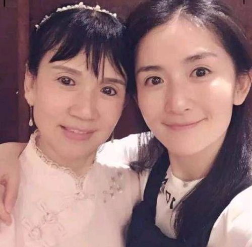  谢娜被曝怀4胎,腹部隆起已5个月,疑为讨好婆婆卑微生儿子