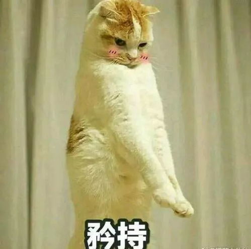  tozju新生们开学必看宝典你想知道的我们都有,没有的话请留言