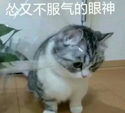  热搜第一代表不建议年轻人戴美瞳眼镜