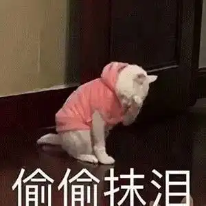  小娘惹后还想看大女主戏女管家珠江频道开播