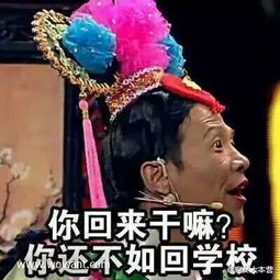  2017宋小宝同一个世界同一个妈表情包