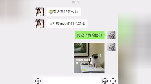  搞笑表情包