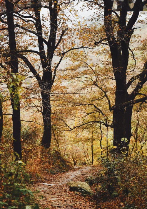  红枫古道,这个季节东阳不可错过的风景