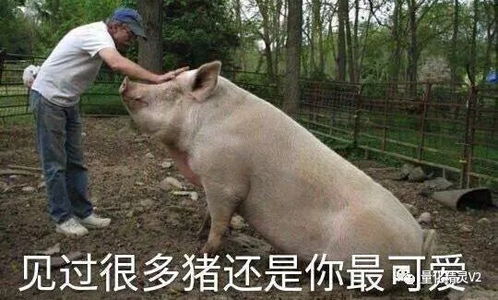  瑞幸才是真正牛逼的民族企业
