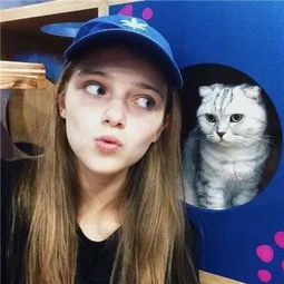  养猫女子图鉴