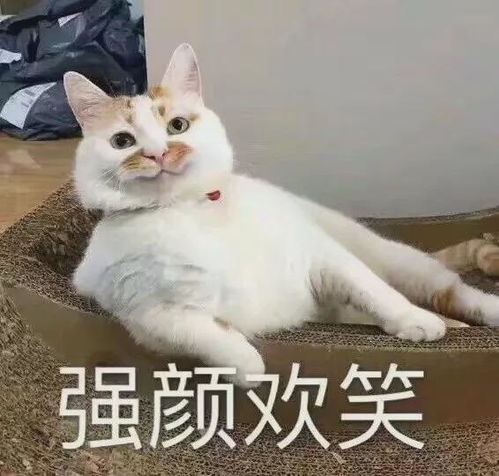  别再用coco当英文名了那些你以为好听的名字,令人意想不到