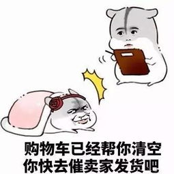  实不相瞒,最大的乐趣就是