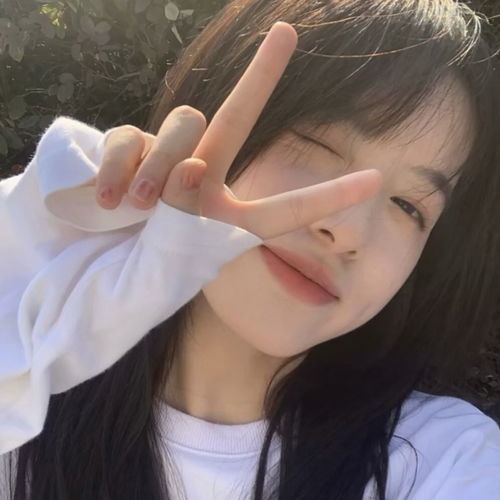  ins高级女头