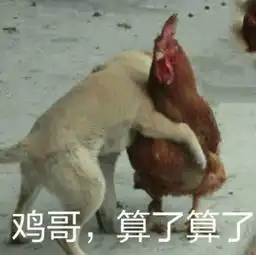 李子柒被质疑的真实,到底长什么样