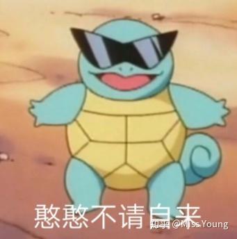 刘宇宁表情包杰尼龟