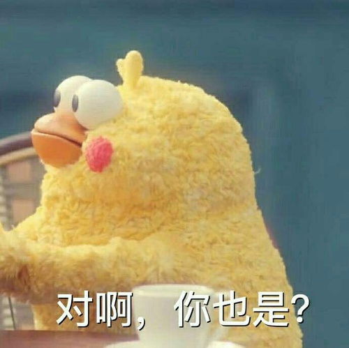  任嘉伦俶儿表情包合集