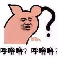 碎梦表情包
