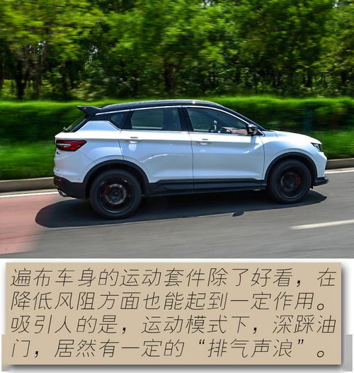  年轻人的第一台小钢炮试驾吉利缤越pro