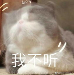 矮基可爱表情包无水印版