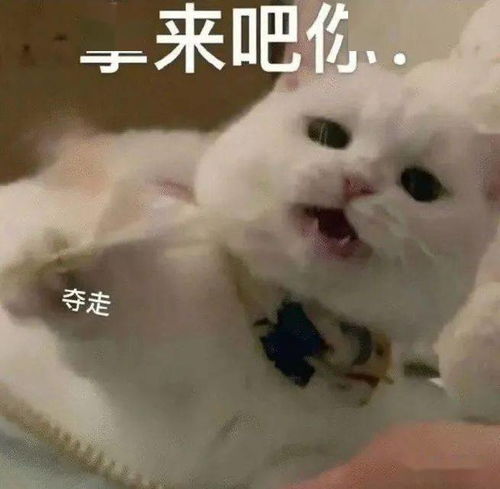  ai教程大分享这般绝绝子的科研示意图画法如此简单