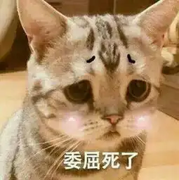  有哪些又可爱又骚气让人忍俊不禁的表情包吸吸