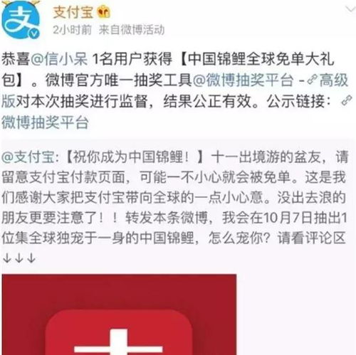 微信头像排第一金能生