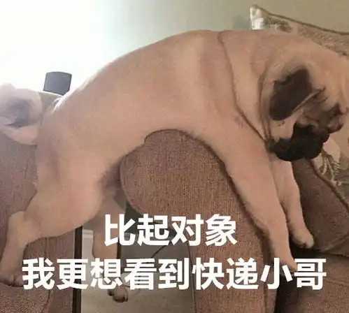  有的人虽然双11破产了,但依旧是表情包大户