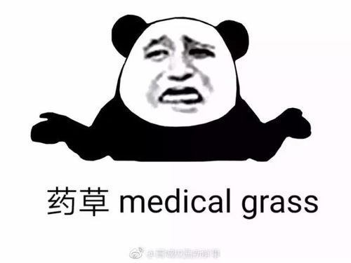  四六级考试上午爬山下午投湖网友神吐槽笑到不能自已哈哈哈