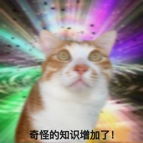  你有哪些奇怪的知识增加了的表情包