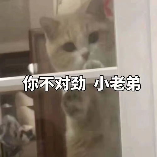  有哪些可以rap的押韵句子
