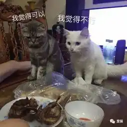  网友准备吃烤鸡,两只喵在旁边看着,结果一不留神烤鸡竟被...