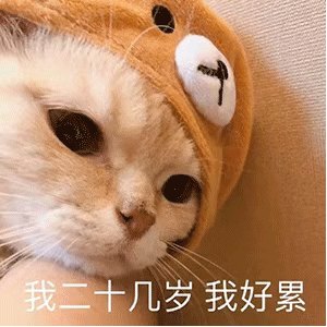  热门表情包大合集丨阴阳怪气