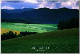  恋上夏季色彩斑斓仙境般的北海道