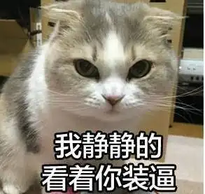 一只白猫旁边一个问号的